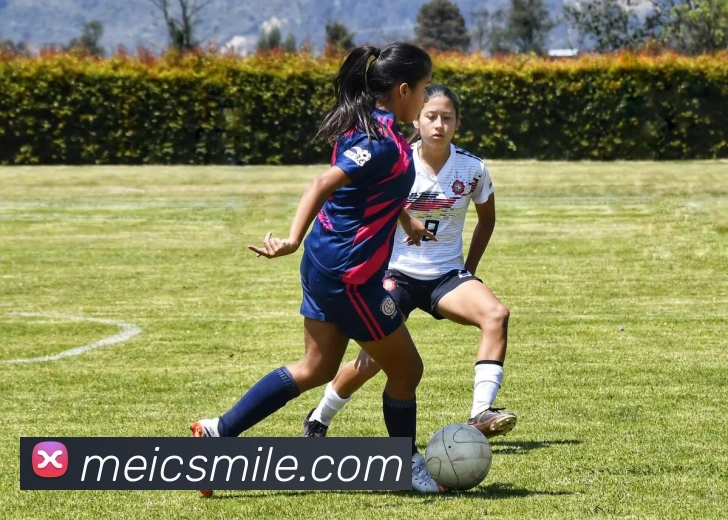 米乐m6服务体系